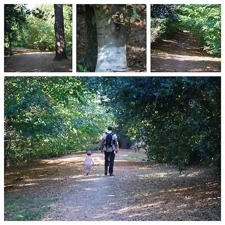 Villa Amazing Views Over In A Family *