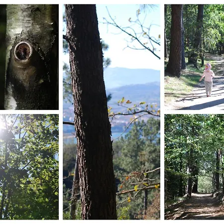 Amazing Views Over In A Family *