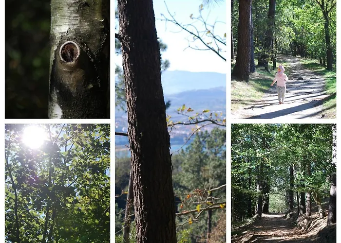 Amazing Views Over In A Family *